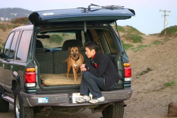 Grisabilen kommer hem igen